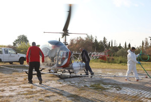 Την Τετάρτη 1 Οκτωβρίου ξεκινάει η εμβολιαστική αντιλυσσική εκστρατεία στη Θεσσαλονίκη