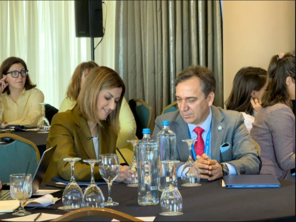 Αγαπηδάκη: Σε τρεις πυλώνες η ενσωμάτωση της ψυχικής υγείας στην πρωτοβάθμια φροντίδα