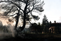 Φωτιές Ελλάδα: Τραυματίστηκε πυροσβέστης, πολίτες με εγκαύματα στο ΚΑΤ