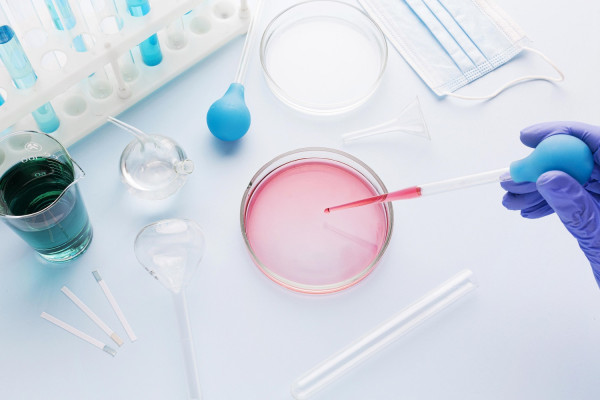 Οι επιστήμονες δημιούργησαν ενδομήτριο στο εργαστήριο για να ρίξουν φως στα πρώτα στάδια της εγκυμοσύνης