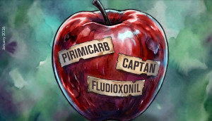 Τελικά μπορεί να μην κάνουν το γιατρό πέρα! Καταγγελίες για "κοκτέιλ" φυτοφαρμάκων στα μήλα