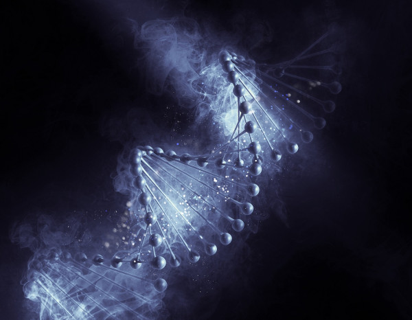 Freepik