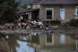 Θεσσαλία: Πέντε τα επιβεβαιωμένα κρούσματα λεπτοσπείρωσης άλλα 17 υπό διερεύνηση